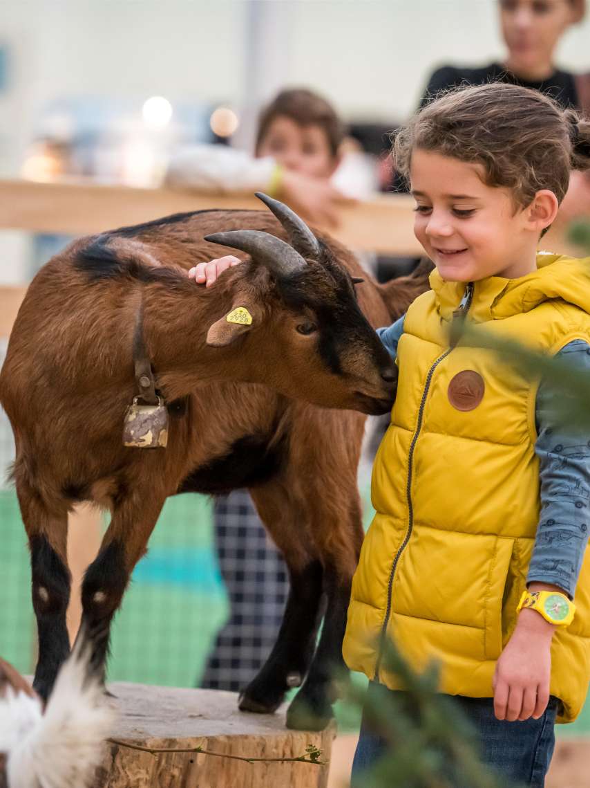 OLMA - mehr als Würste und Säuli