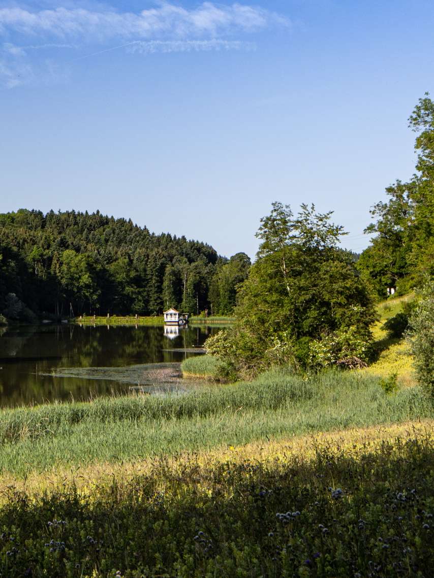 Natur vor der Haustür