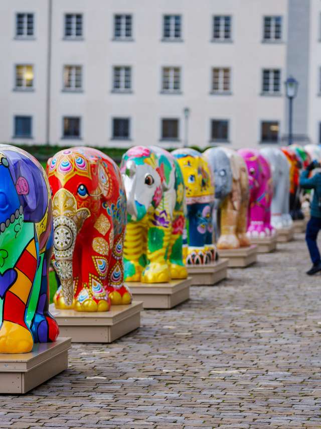 Elefantenparade auf dem St.Galler Klosterplatz