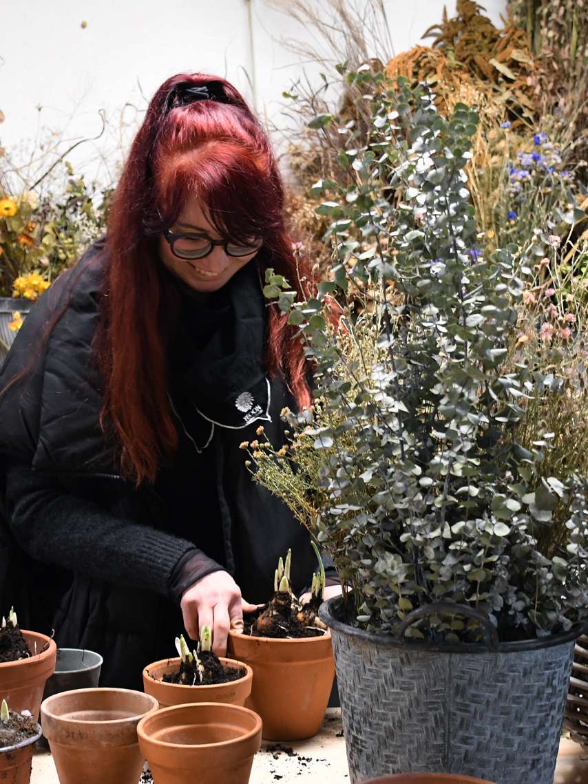 Wie YEOON den Lattich zum Blühen bringt