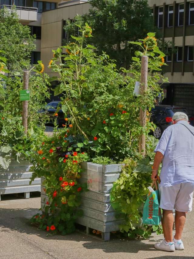 Mit statt gegen die Natur – Nachhaltigkeit in St.Gallen