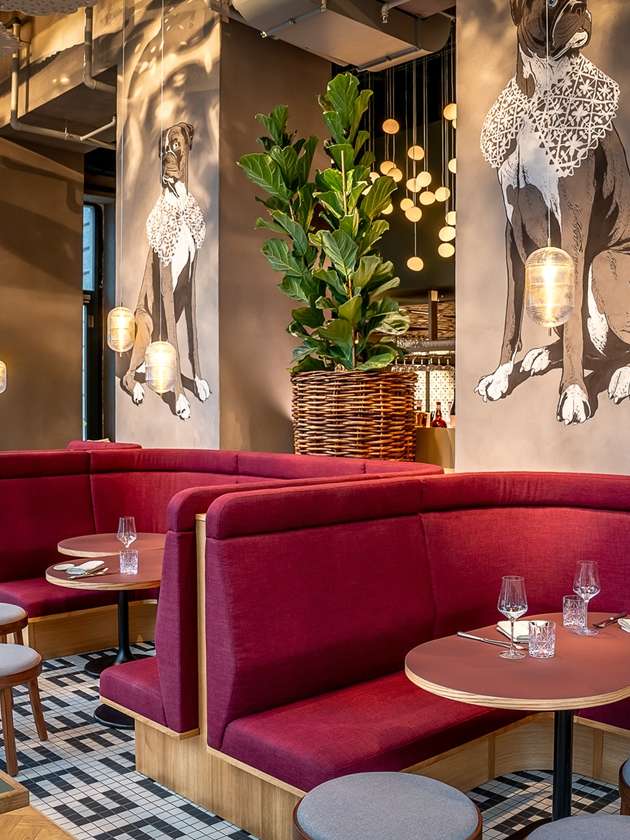 Entdecke das Restaurant Multertor