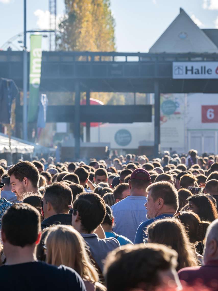 Unterschiedliche OLMA Typen