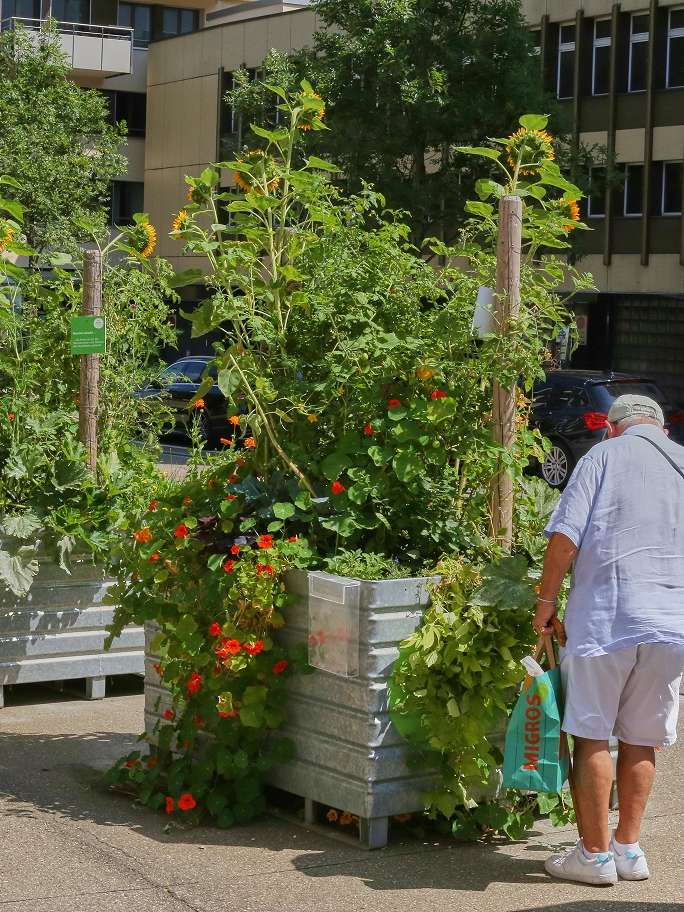 Nachhaltiges St.Gallen